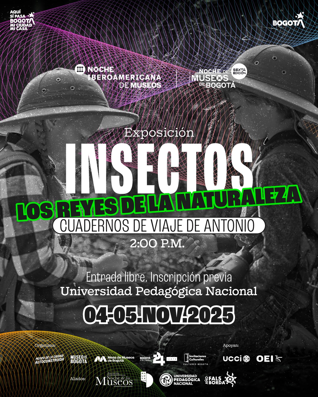 WhatsApp Image 2025-11-04 at 11.42.31 AM